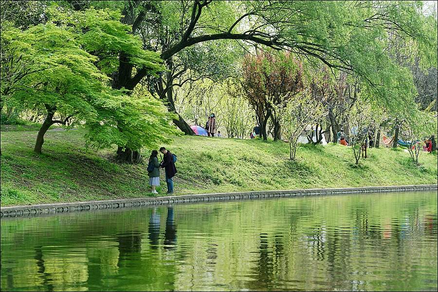 青坪村的姿势(图1)